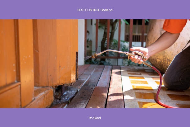 PEST CONTROL Redland